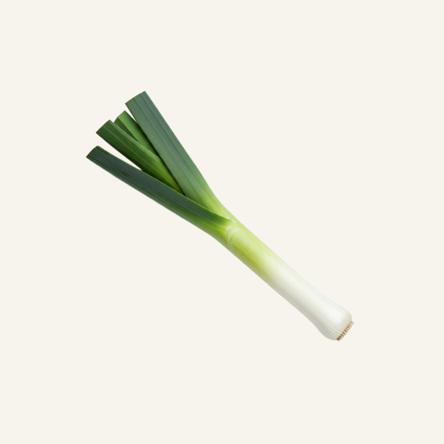 Purjolök